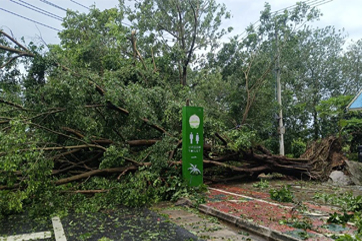 pg麻将胡了-(官方版)中国网站